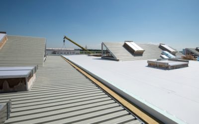 Étanchéité des toitures végétalisées à Genève : quelles spécificités ?