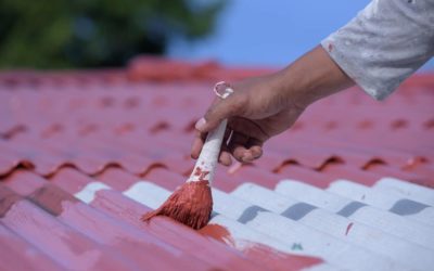 Comment la peinture de toiture à Genève peut-elle prolonger la durée de vie de votre toit ?